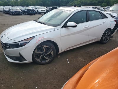 5NPLN4AG5MH****** 2021 Hyundai Elantra