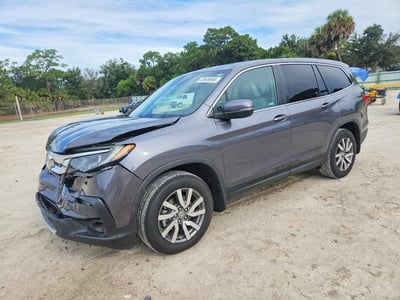 5FNYF5H56MB****** 2021 Honda Pilot