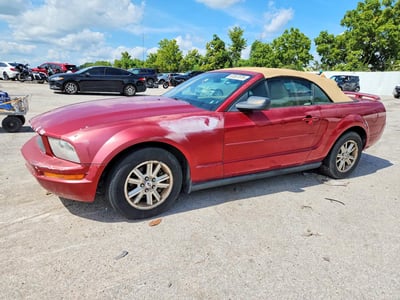 1ZVFT84N465****** 2006 Ford Mustang