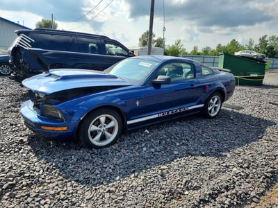 1ZVHT80N085****** 2008 Ford Mustang