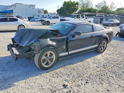1ZVFT80N165****** 2006 Ford Mustang