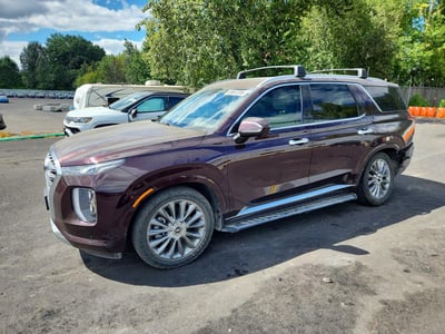 KM8R5DHEXLU****** 2020 Hyundai Palisade
