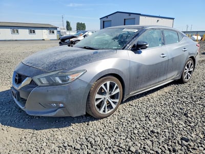 1N4AA6AP5GC****** 2016 Nissan Maxima