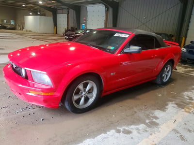 1ZVFT85H465****** 2006 Ford Mustang