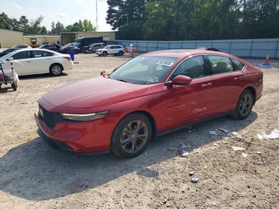 2024 Honda Accord