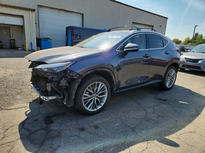 2022 Lexus NX