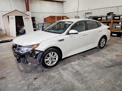 5XXGT4L39KG****** 2019 Kia Optima