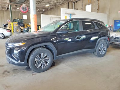 2024 Hyundai Tucson Hybrid