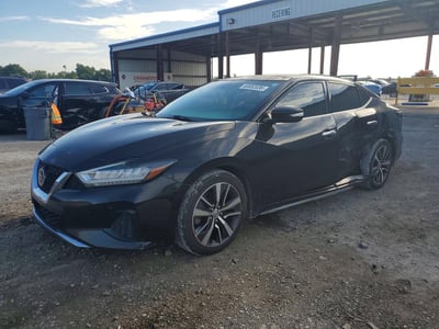 1N4AA6AV0KC****** 2019 Nissan Maxima