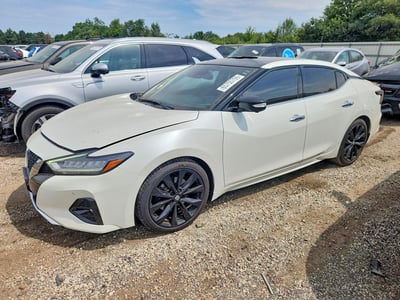 1N4AA6AV2KC****** 2019 Nissan Maxima