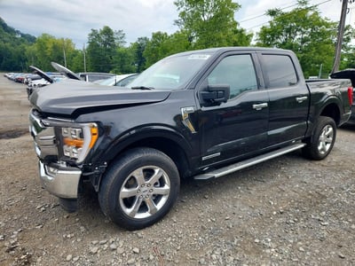 1FTFW1ED2PF****** 2023 Ford F-150