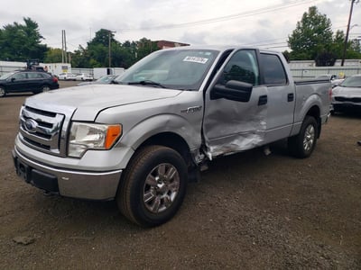 1FTRW148X9F****** 2009 Ford F-150