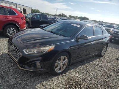 5NPE34AF1KH****** 2019 Hyundai Sonata