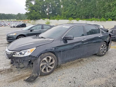 1HGCR2F9XHA****** 2017 Honda Accord