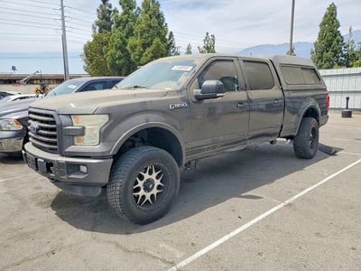 1FTFW1EG7FF****** 2015 Ford F-150