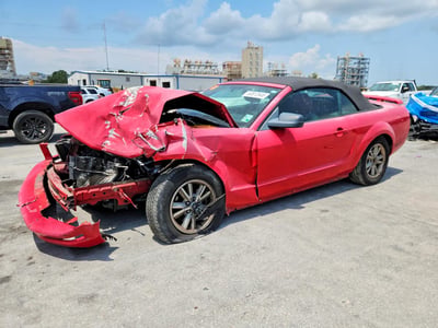 1ZVHT84N065****** 2006 Ford Mustang