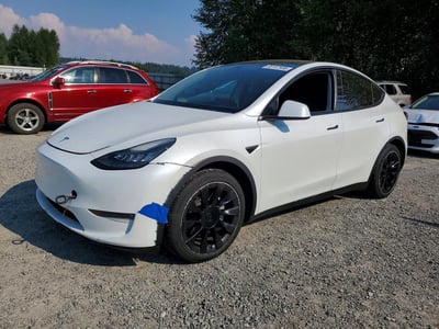 5YJYGDEE9LF****** 2020 Tesla Model Y