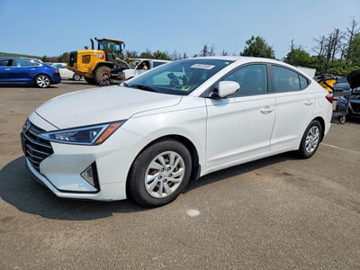 5NPD74LF6LH****** 2020 Hyundai Elantra