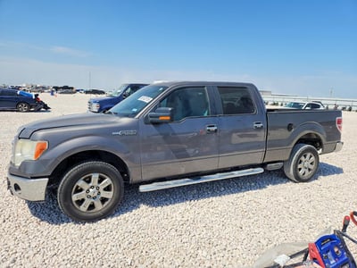 1FTFW1CF7DK****** 2013 Ford F-150