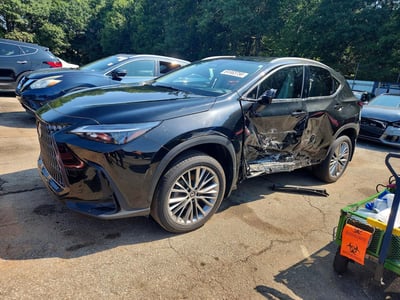 JTJGKCEZXP2****** 2023 Lexus NX