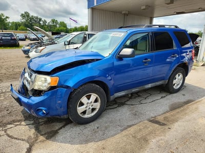 1FMCU0D76BK****** 2011 Ford Escape