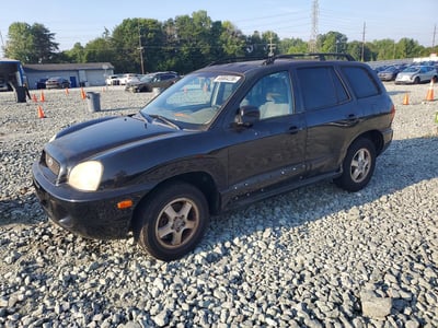 KM8SC13DX4U****** 2004 Hyundai Santa Fe