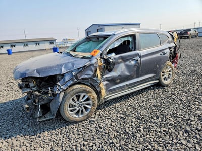 KM8J3CA42HU****** 2017 Hyundai Tucson