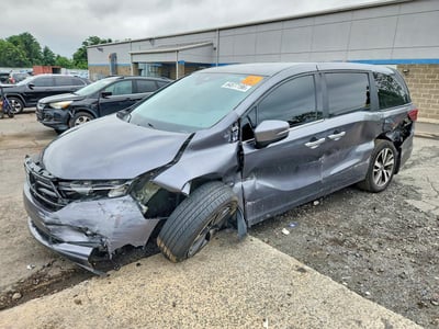 5FNRL6H84RB****** 2024 Honda Odyssey