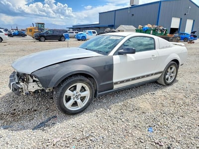1ZVFT80N665****** 2006 Ford Mustang