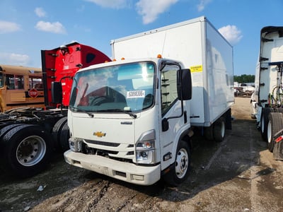 54DCDW1D2RS****** 2024 Chevrolet Low Cab Forward