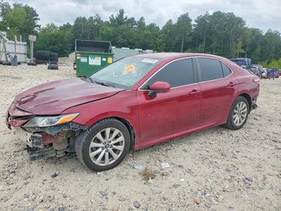 4T1B11HK8KU****** 2019 Toyota Camry