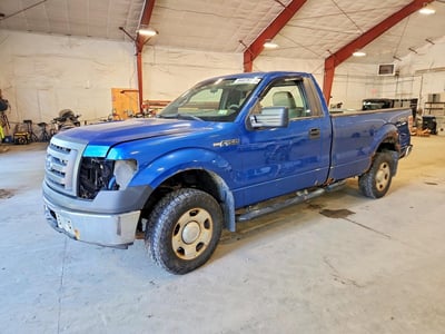 1FTRF14W19K****** 2009 Ford F-150