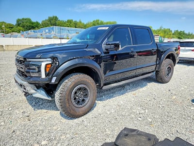 1FTFW1RGXSF****** 2025 Ford F-150