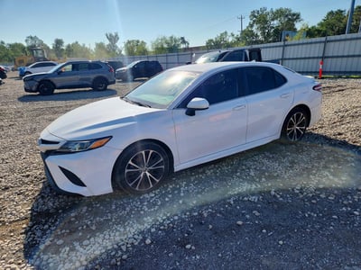 4T1G11AK1LU****** 2020 Toyota Camry