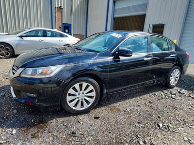1HGCR2F74FA****** 2015 Honda Accord