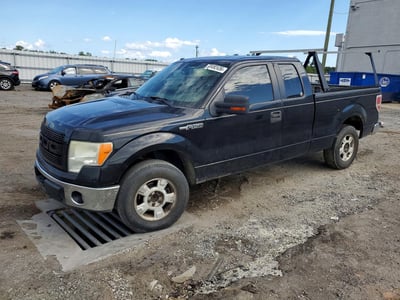 1FTRX12809F****** 2009 Ford F-150