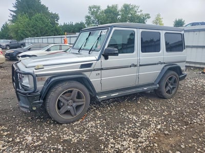 WDCYR49E25X****** 2005 Mercedes-Benz G-Class