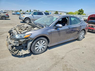 4T1C31AK7LU****** 2020 Toyota Camry