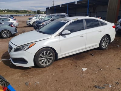 5NPE34AF0GH****** 2016 Hyundai Sonata