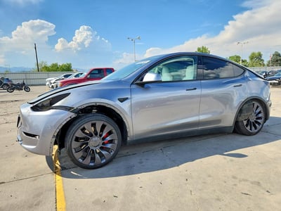 7SAYGDEF5RF****** 2024 Tesla Model Y