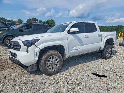 3TMLB5JN2RM****** 2024 Toyota Tacoma