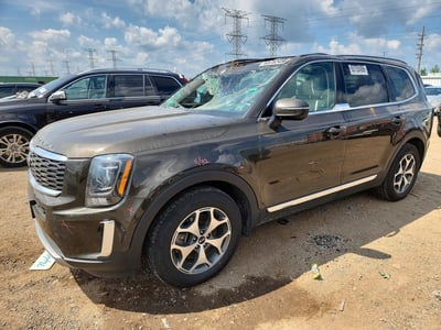 2020 Kia Telluride