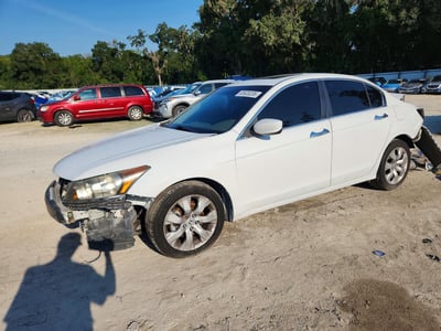 5KBCP3F88AB****** 2010 Honda Accord