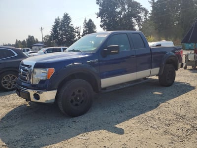 1FTFX1EFXBF****** 2011 Ford F-150