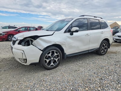 JF2SJGMC7EH****** 2014 Subaru Forester