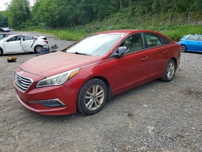 5NPE24AF1FH****** 2015 Hyundai Sonata