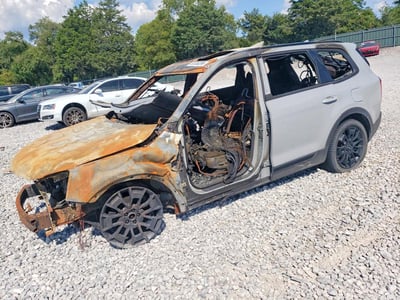 5XYP3DHC7NG****** 2022 Kia Telluride