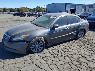 2011 Honda Accord