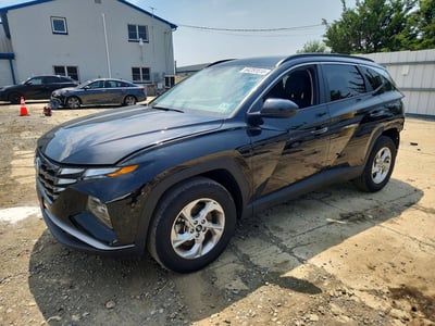 5NMJBCDE0RH****** 2024 Hyundai Tucson