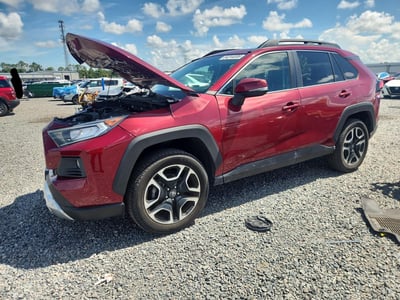 2T3J1RFV1KW****** 2019 Toyota RAV4